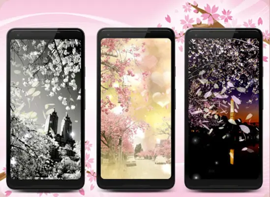 Sakura Live Wallpaper android App screenshot 1